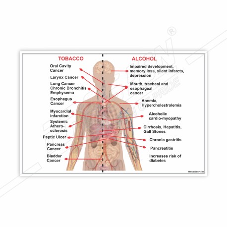 Effect Of Body In Tobacco And Alcohol Safety Posters| Protector FireSafety