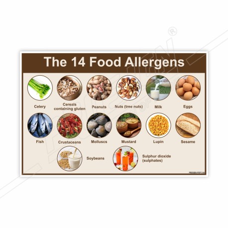14 Food Allergens, Food Safety Posters| Protector FireSafety