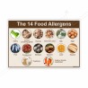 14 Food Allergens, Food Safety Posters| Protector FireSafety