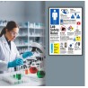 Lab Safety Rules Chemical Safety Poster| Protector FireSafety
