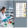 Sulfuric Acid Chemical Safety Poster| Protector FireSafety