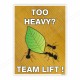 Team Lift, Teamwork Safety Posters