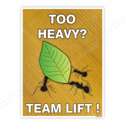 Team Lift, Teamwork Safety Posters| Protector FireSafety