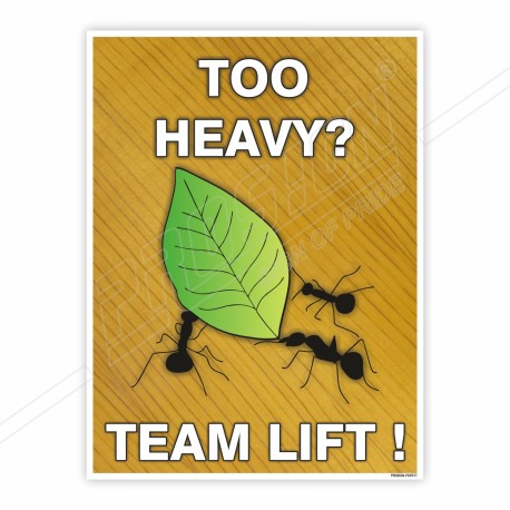 Team Lift, Teamwork Safety Posters| Protector FireSafety